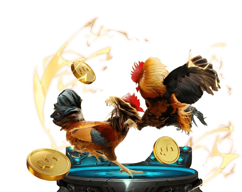 Lịch sử phát triển BJ88